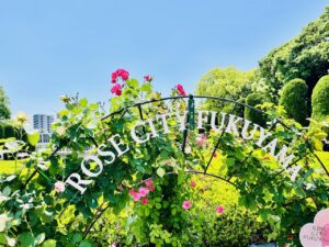 広島県福山市はバラの街として知られています。戦後の復興期にバラを植えて地元民同士元気づけたといわれています。貸切バスの乗降場があるので、団体旅行に便利ですよ。