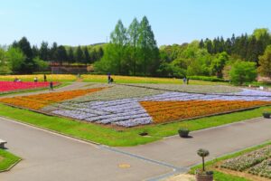 広島県庄原市にある備北丘陵公園はチューリップやコスモス、ポピーなど、さまざまな花を楽しめる場所です。